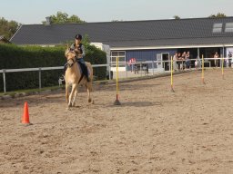 img_7487_web